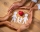 Close up hands of father, mother and daughters protecting family paper cutout with red heart. Hands of family with paper cutting and red heart shaped symbol stone. Unity, insurance and love concept.